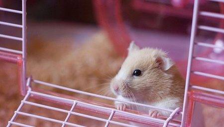 Alegeți un material de umplutură de hamster