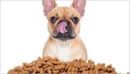 Alimente pentru câini vechi: Ce sunt acolo și cum să alegeți?