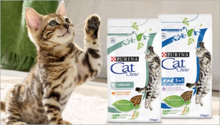 Caracteristici Purina Cat Chow pentru pisici