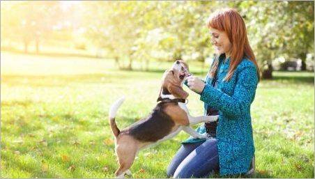 Caracteristicile socializării catelusilor și a câinilor adulți