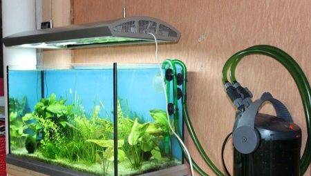 Filtre externe pentru acvariu: dispozitiv, selecție și instalare