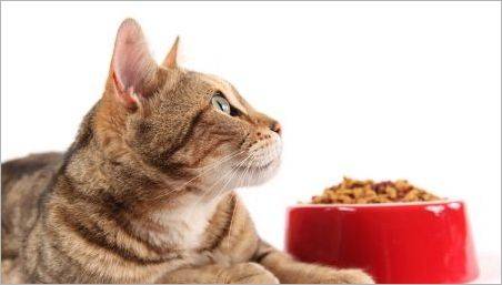 Furajele de clasă sfântă pentru pisici: evaluarea producătorilor și regulile de selecție