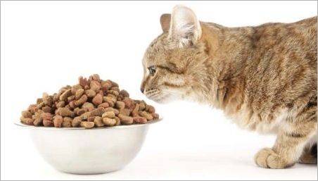 Hrana pentru pisici sterilizate și pisici castrați