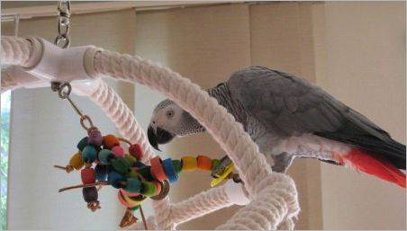 Jucării pentru papagali fac tu singur