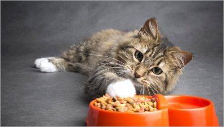 Purina pisică chow pentru pisici sterilizate și pisici castrate