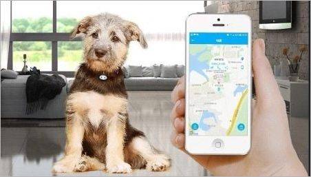 Trackers GPS pentru câini: De ce ai nevoie și cum să le alege?