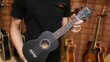 Totul despre chitare si ukulele Veston