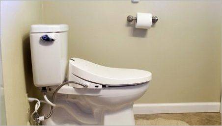 Bideu de acoperire pentru toaletă: soiuri, branduri, selecție și instalare