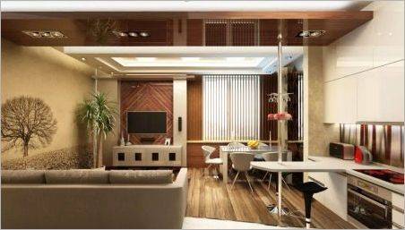 Cameră de design de bucătărie-living 30 kV. M: Proiecte și sfaturi utile pentru Designer