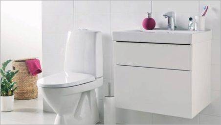 Caracteristici și sfaturi privind alegerea vaselor de toaletă IDO