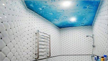 Plafoane suspendate în baie: Caracteristici, Soiuri, Design