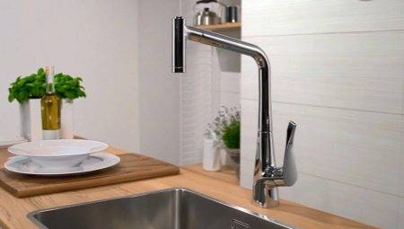 robinete de bucătărie cu insufle de mare: specii și sfaturi pentru alegerea