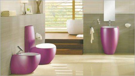 Toalete colorate: Tipuri și opțiuni în interior