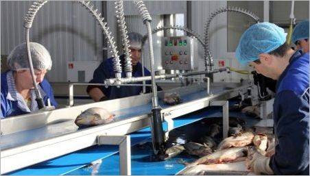 Cine este un tehnolog de producție de pește și ce face?