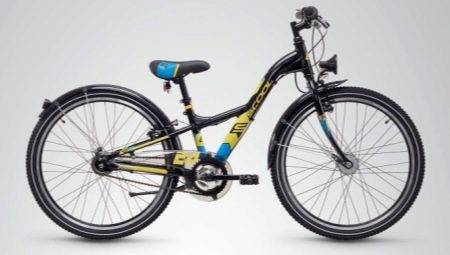 Biciclete 24 inch pentru băieți și fete: modele si selectie