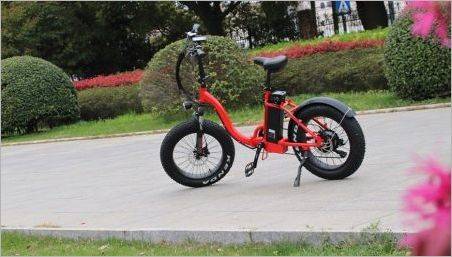 Biciclete electrice pentru copii: soiuri, branduri, alegere, reguli de utilizare