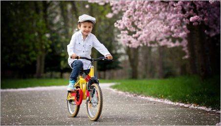 Biciclete pentru copii cu 5 ani: cum să aleagă și să învețe copilul la plimbare?