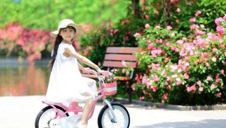 Bike pentru fata: specii și alegere