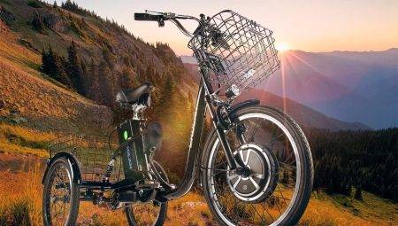 Trei roți biciclete electrice: soiuri, branduri, alegere