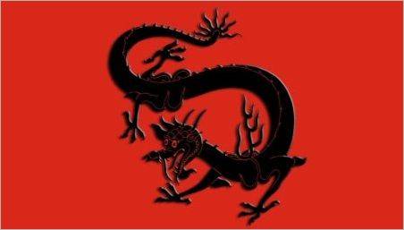 Anul Dragonului: Caracteristicile simbolului și compatibilității