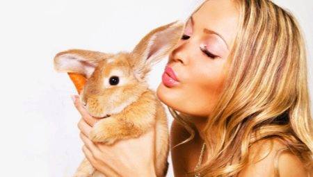 Femeie Rabbit: Caracteristici și compatibilitate