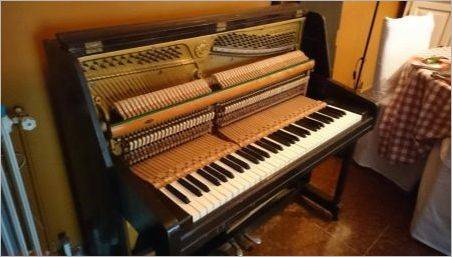 Reparare și restaurare de pian