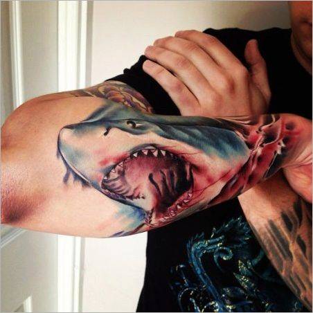 Ce face tatuajul și rechinul  și ceea ce pot fi?