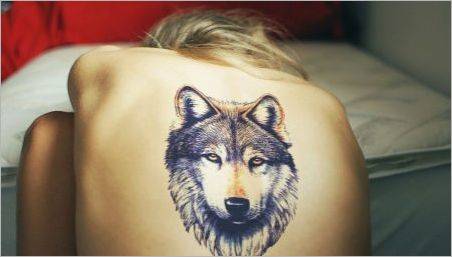 Ceea ce înseamnă tatuaj cu lupi și unde este mai bine să umpleți?