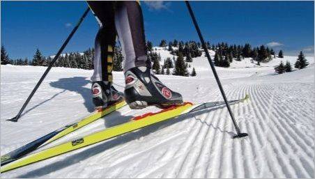 Cum de a alege schiurile pentru cursa de skate pentru creștere?