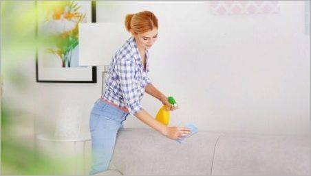 Canapea de curățare uscată cu propriile mâini la domiciliu