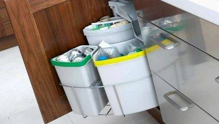 Embedded găleți de gunoi: specii și recomandări pentru alegerea
