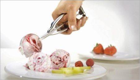 Spoon pentru înghețată: Caracteristici și reguli de utilizare